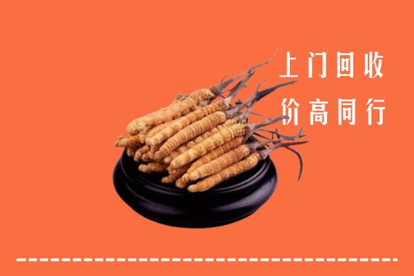 高价求购：石岐区回收散虫草