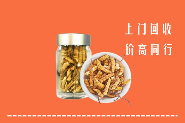 收购行情：石岐区回收冬虫夏草